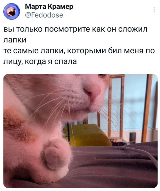 Веселое настроение в картинках (05.10.2025)