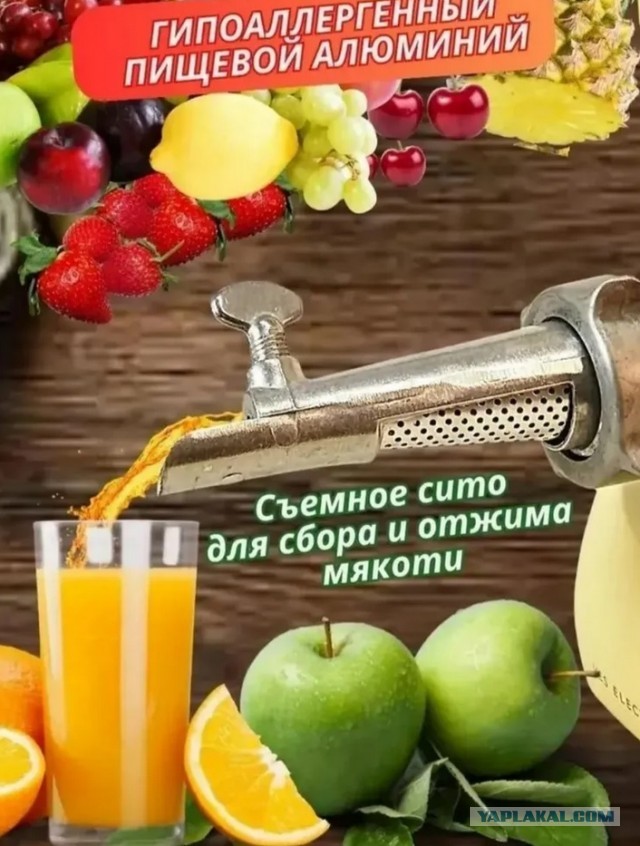 когда тиктокеры решили стать бизнесменами