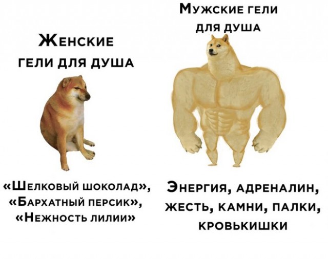 Веселые картинки в понедельник (17.12)