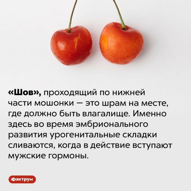 Куча мала 8