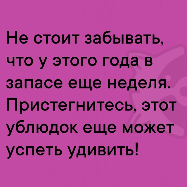 Так себе картинки 24.12.25