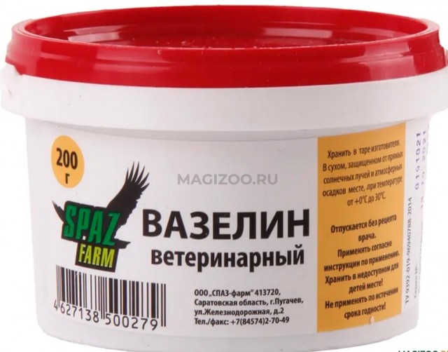 Сова едет на корпоратив