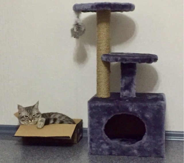 Котокоробковое