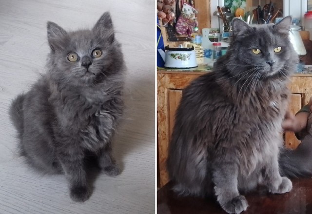 Кусочек тьмы.