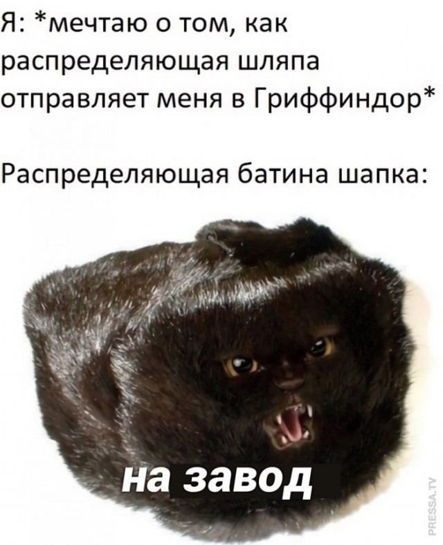 Веселые картинки в понедельник (23.03)