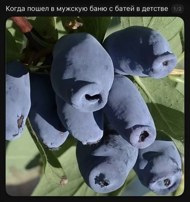 Народная меДИЧина v2.0