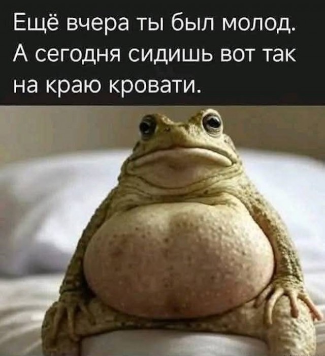 Субботние картинки