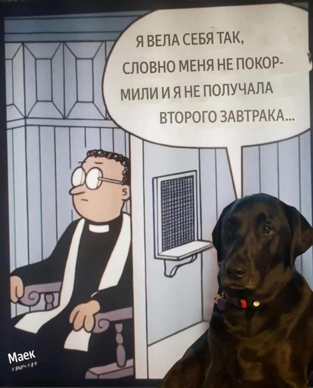 Картинки для деградации 194 (разной степени свежести)