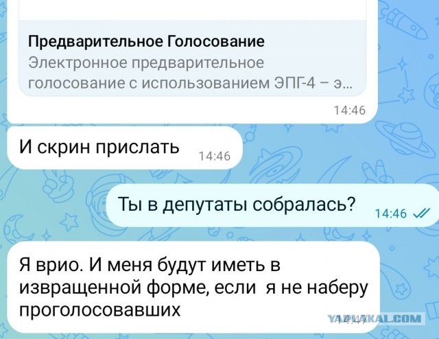 «Сказали зайти на сайт праймериз и отдать телефон». В поликлинике Петербурга сотрудников отправили голосовать за «единороссов»