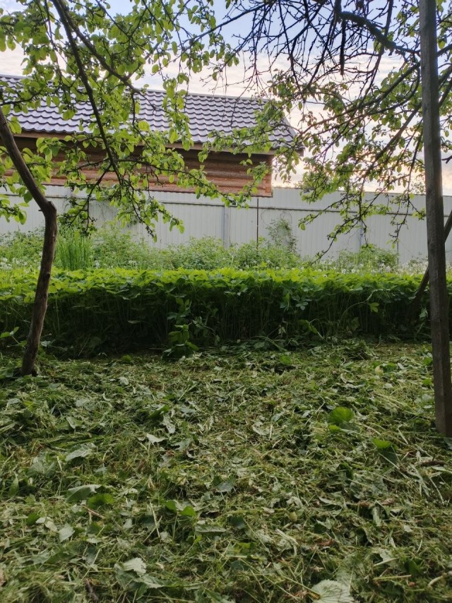 Чем косить траву на участке будем?