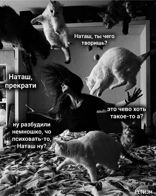 Найди себе уже мужика, Наташа!