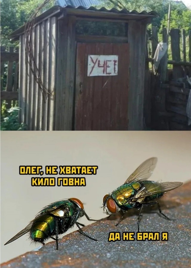 Так себе картинки 30.06.26