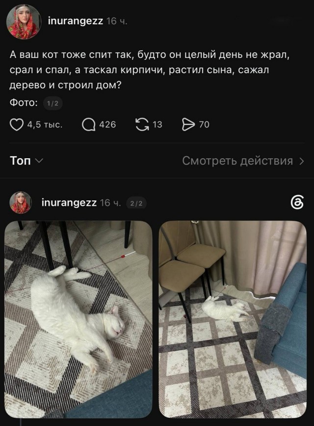 Так себе картинки 13.07.26