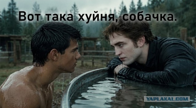 Провёл исследование