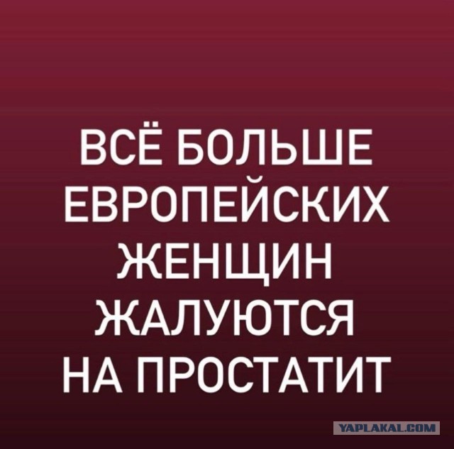 Прикольные и просто красивые картинки 01.09.2026