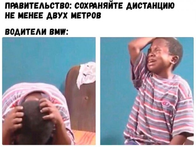 Веселые картинки в пятницу (30.10)
