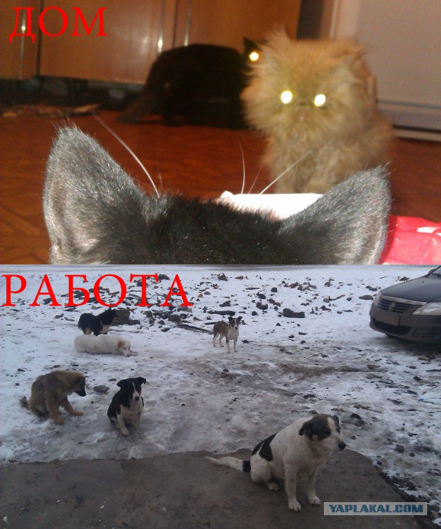 А ну пальцы убрал! Быстро!