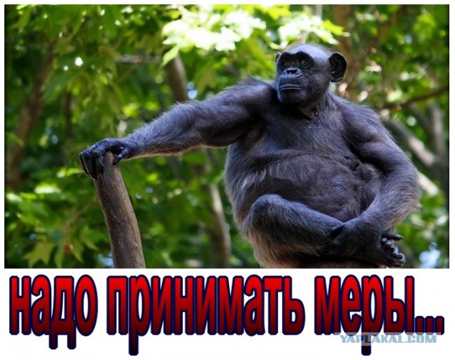 Одесситы обратились за помощью