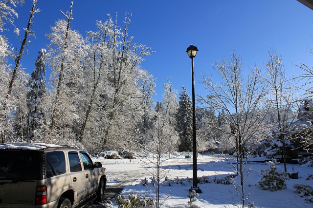 Деревенская Америка