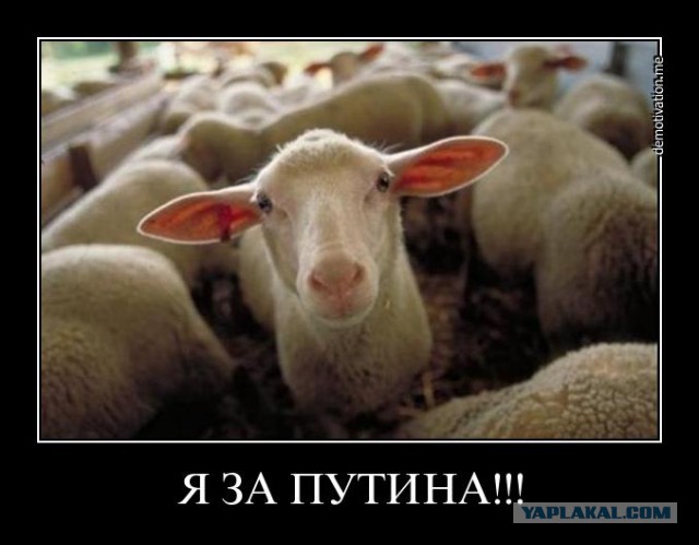 Кто бы мог подумать пару лет назад?