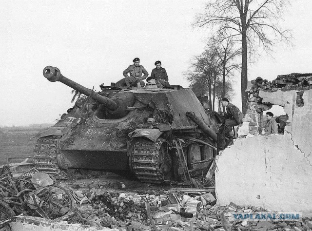Wargaming 12, WoT сотоварищи