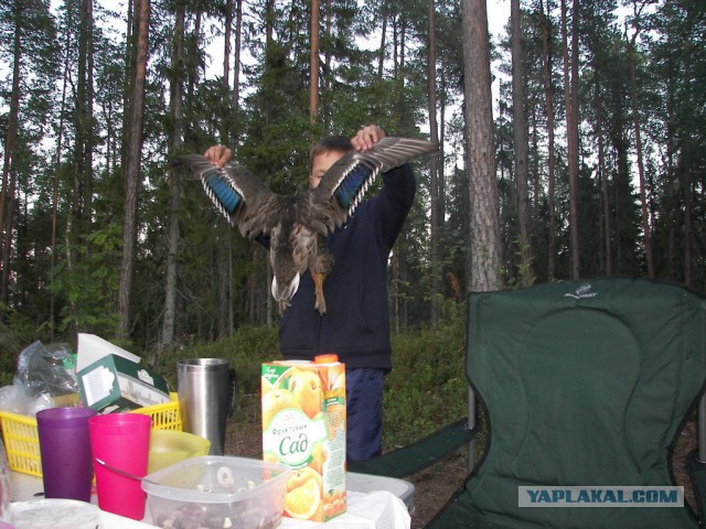 Американский weekend