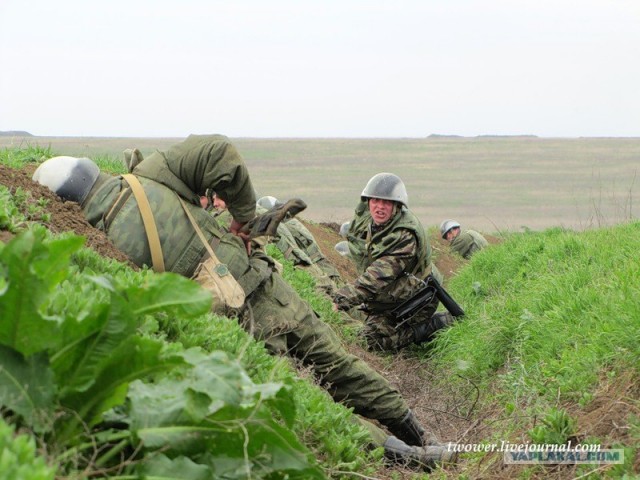 810-я отдельная бригада морской пехоты