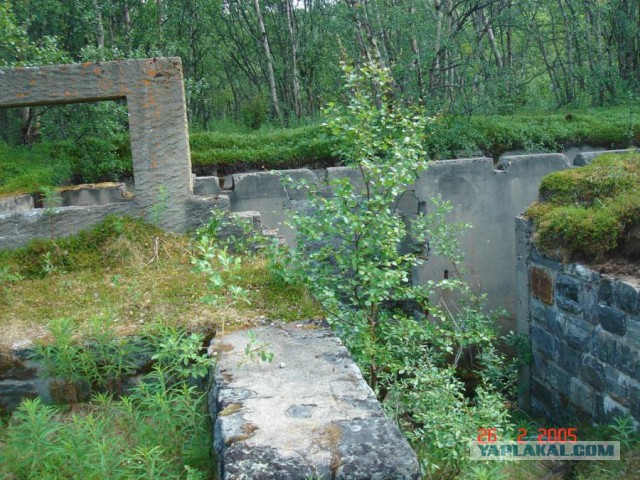 Отчет Банды маргиналов или трэш на Северах