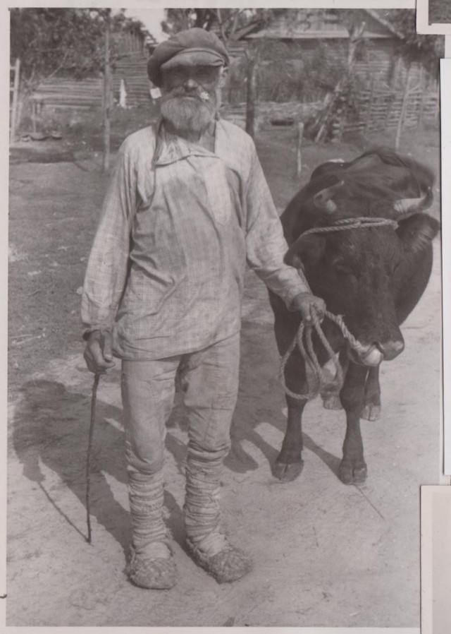 Лето 1941 года.