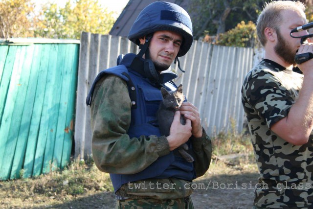 Кошки и собаки на войне в Донбассе
