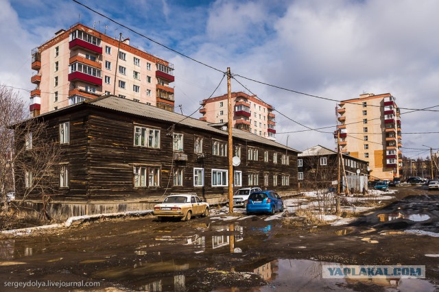Ванга была права?
