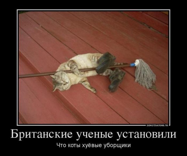 А вы знали что...
