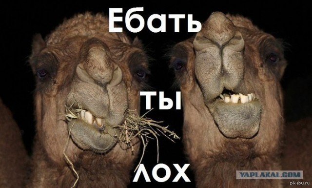 Смотрящий Екатеринбурга
