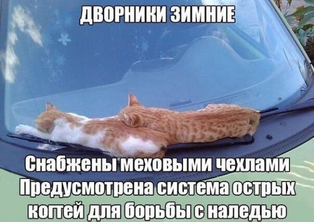 Очередные автоприколы