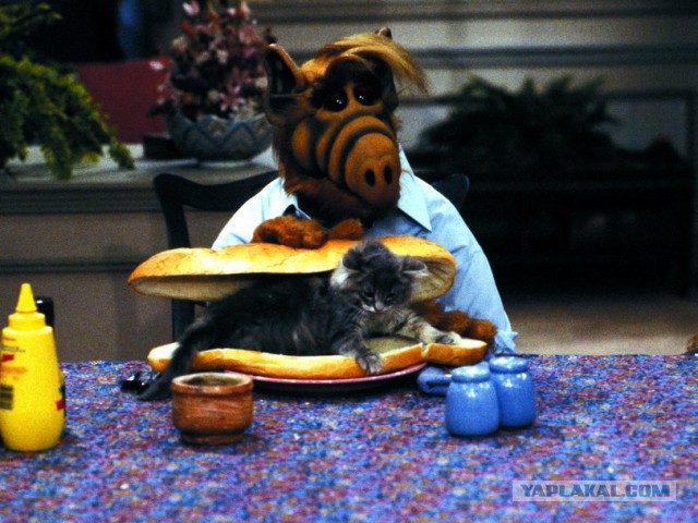 "Альф". 30 лет спустя