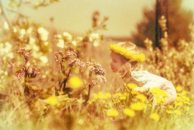 Славянская Душа