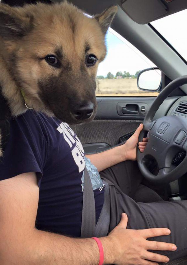 Объясните мне, что происходит !?