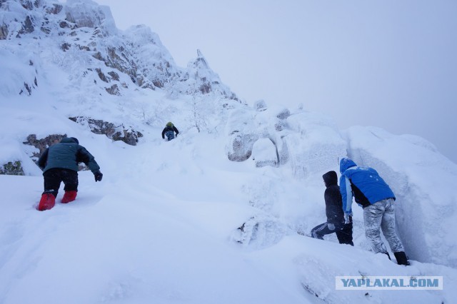 Ученые призвали ВОЗ воздержаться от жесткого контроля электронных сигарет