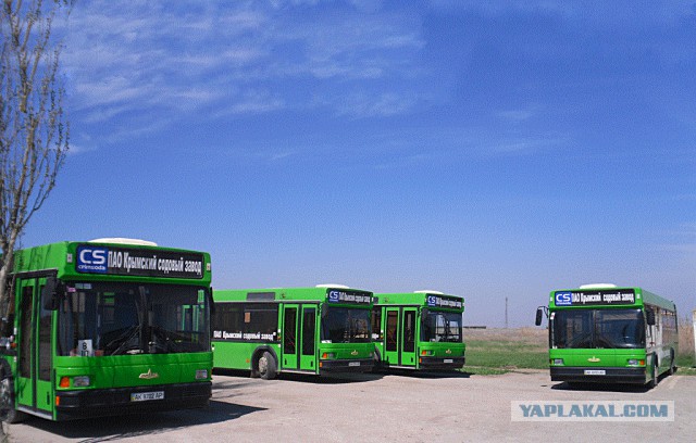 Автобусная авантюра от МАЗа, ставшая легендой
