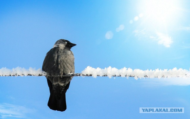 Подборка интересных и веселых картинок