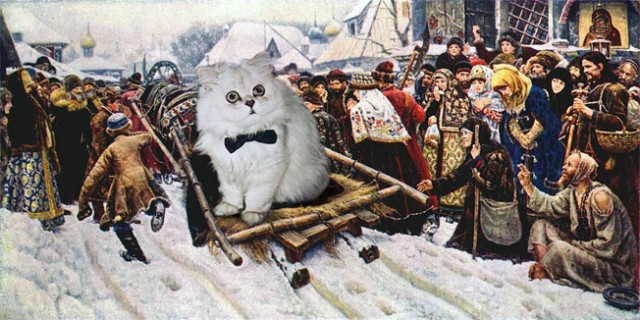 Котовторник: лента прикольных котов на 05.02!