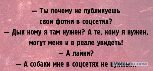 Порция картинок из сети