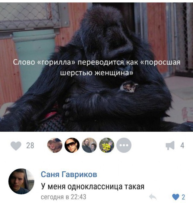Ужасы и приколы из соцсетей 18+