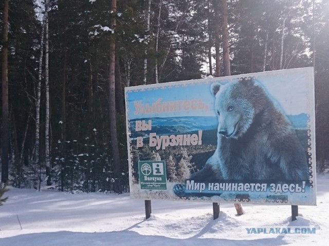 В Башкирии детям выдали топоры для борьбы с медведями по дороге в школу