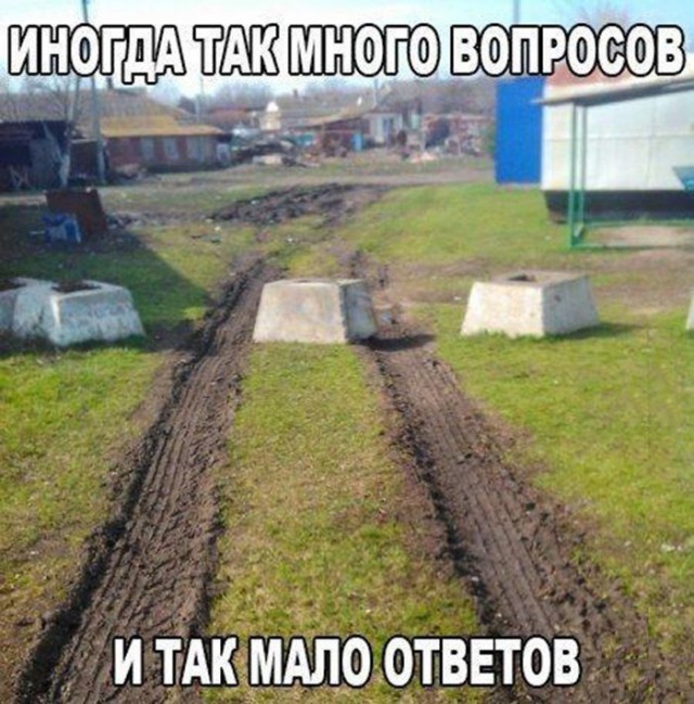 Подборка безудержного веселья