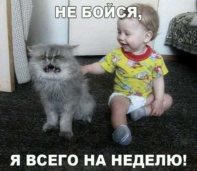Картинки для поднятия настроения