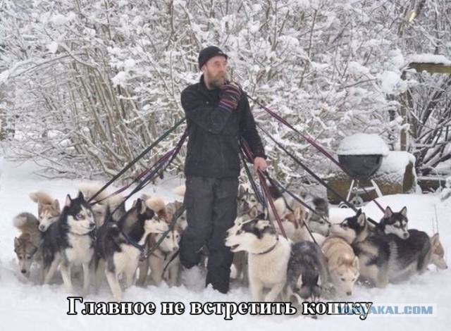 Просто картинки