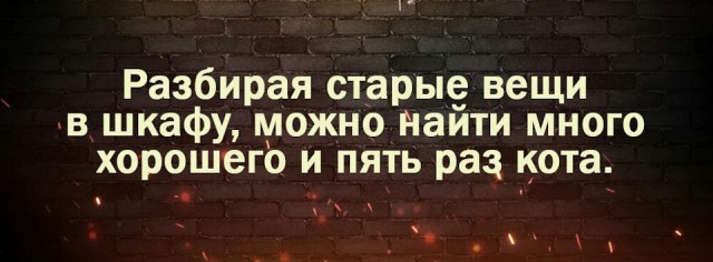 Просто картинки