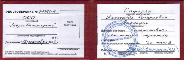 Змея на электрических проводах