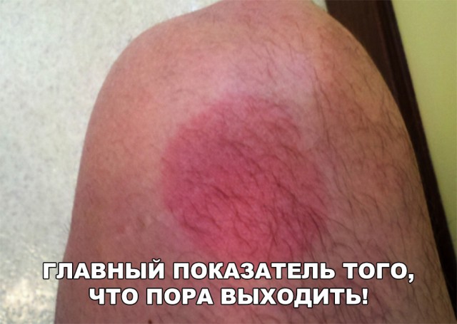 Немного картинок в этот вторник